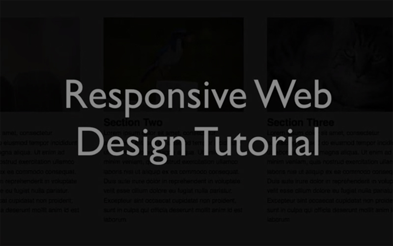 Responsive Web Design Tutorial 재생