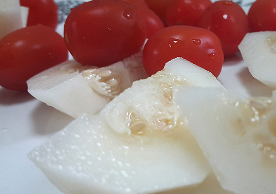 ����Ʈ �̹���