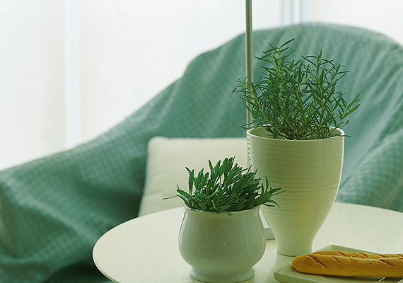 �������� �̹���