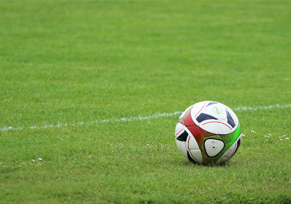 ��ü���� ������ �ֽô� �̹����� �Ϻ��ϰ� ��ü�� �帳�ϴ�.